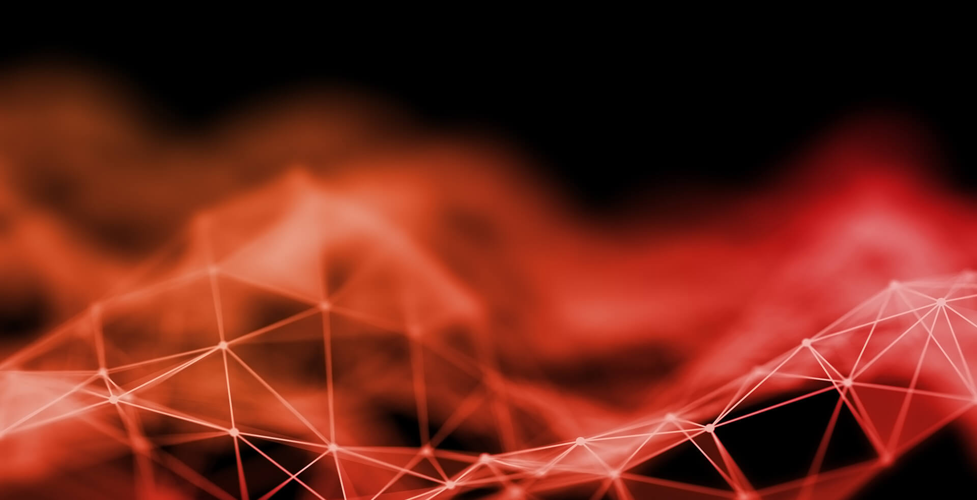 Anasi Marketing digital marketing team at work